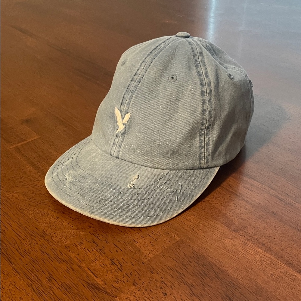 American Eagle Outfitters Denim Blue Cap